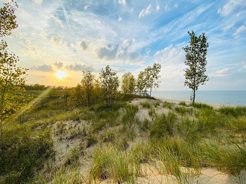 A Landscape of Rare Biodiversity