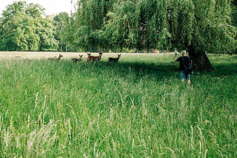 Abundant Wildlife Thriving in Urban Forest Habitat