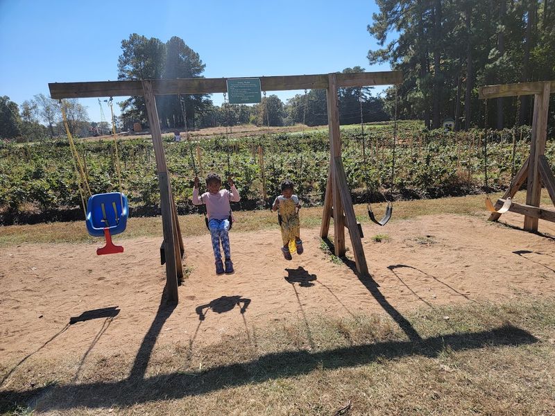 Multiple Play Areas For Active Children