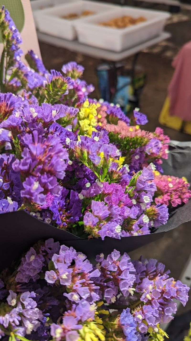 Fearrington Farmers Market