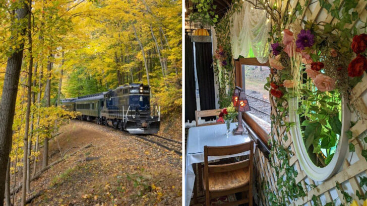 Travelers Say This Pennsylvania Train Ride Feels More Magical Than Most Theme Parks