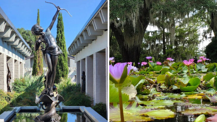 Travelers Say This South Carolina Garden Is One of the Most Beautiful Places in the Southeast