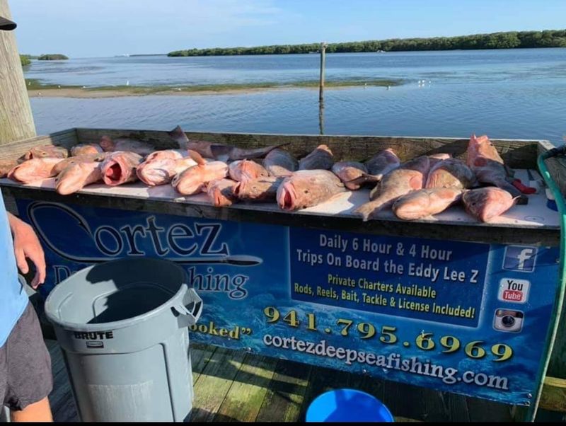 Time Your Trip for the Cortez Commercial Fishing Festival