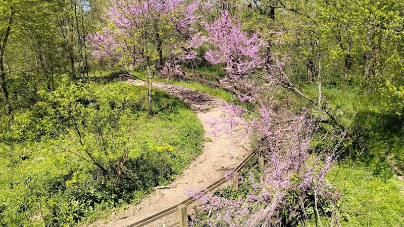 Tyler State Park (Newtown, Bucks County)