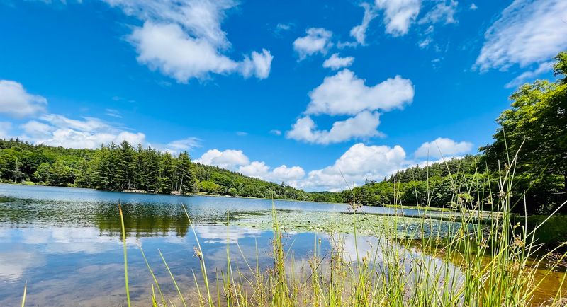 Bass Lake (Watauga County)