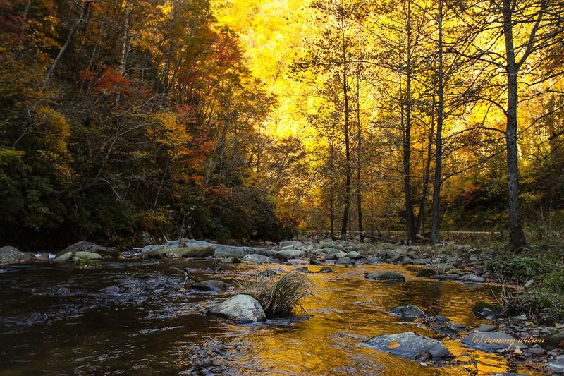 Nantahala Gorge Tour