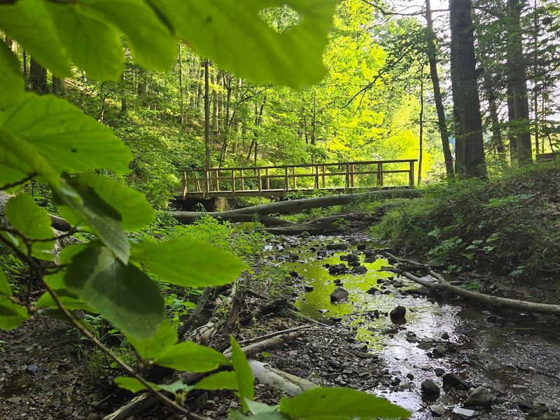 Richfield Heritage Preserve Trails 