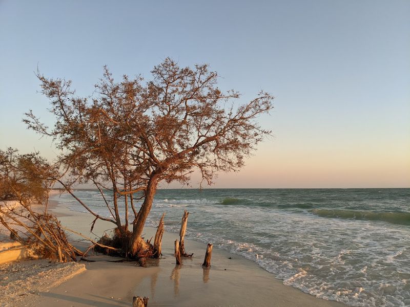 Sunsets That Turn The Shoreline Gold