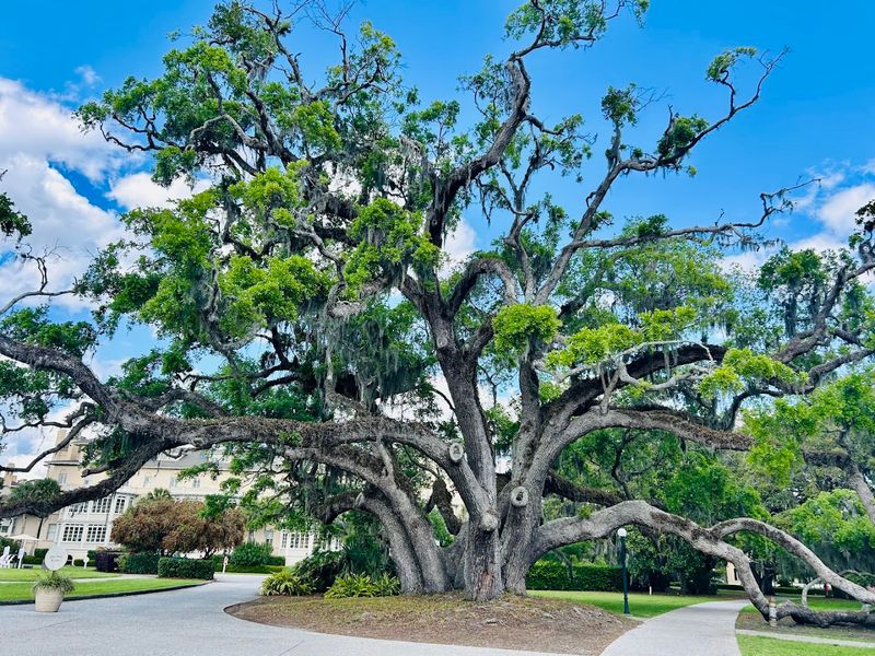 Jekyll Island