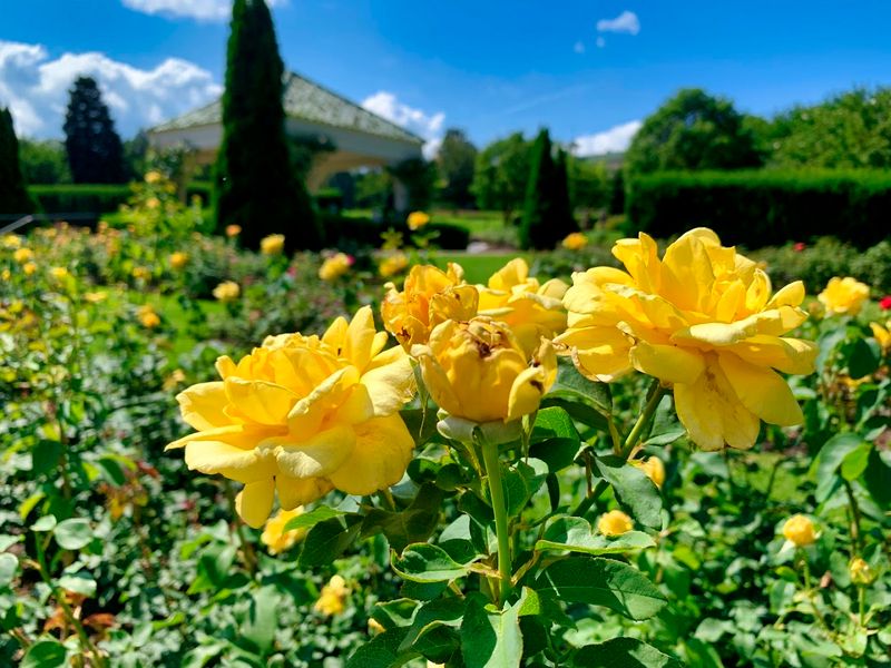 Hershey Gardens (Hershey)