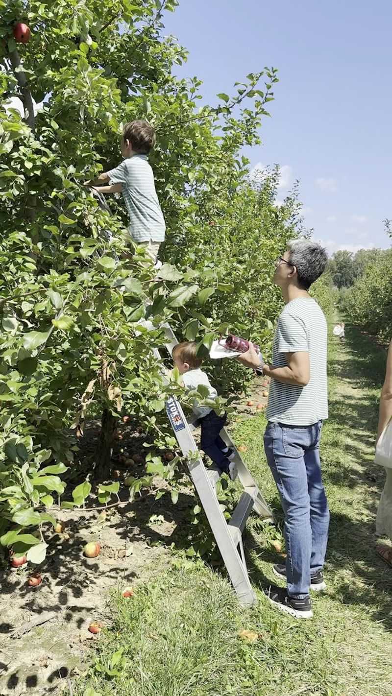 Solebury Orchards
