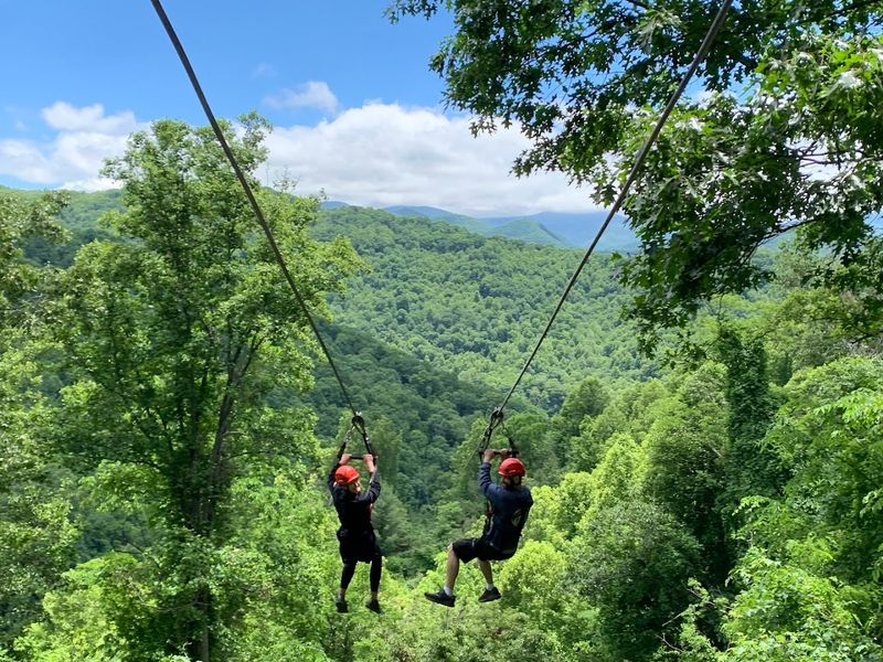 Navitat Canopy Adventures - Barnardsville, NC