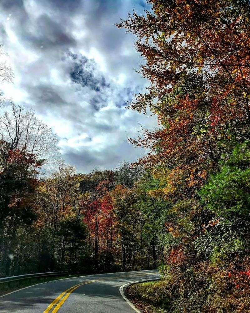 NC Highway 80 (Bakersville to Blue Ridge Parkway / Mount Mitchell Area)