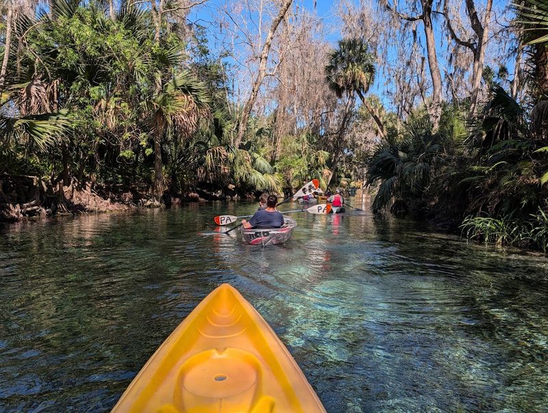Paddling Through Liquid Crystal