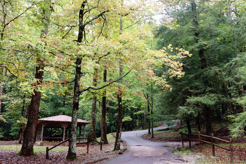 Campground