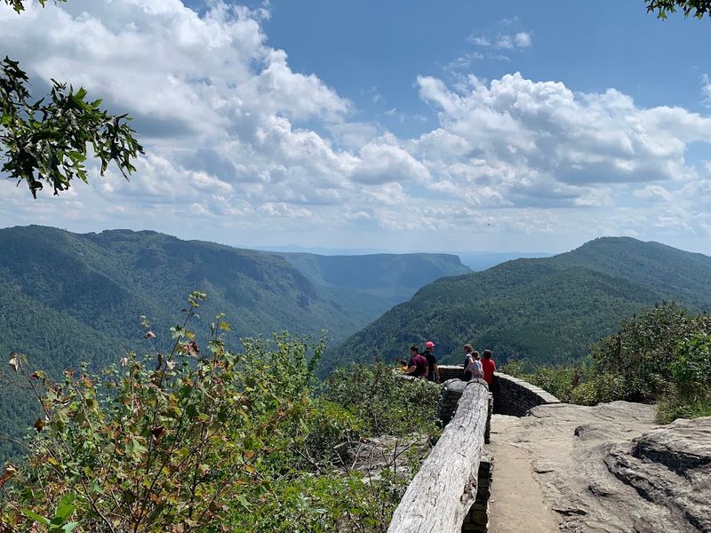 Wiseman's View