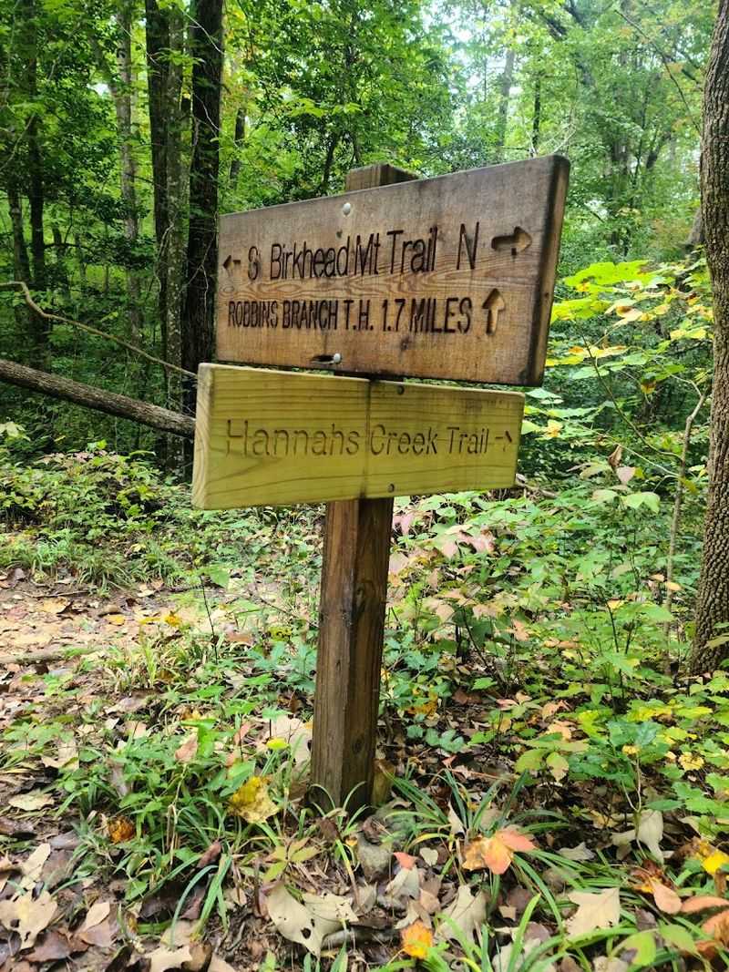 Birkhead Mountains Wilderness Trails