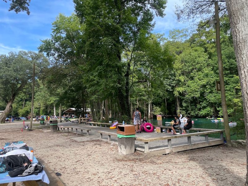 Camp and Swim at Ginnie Springs