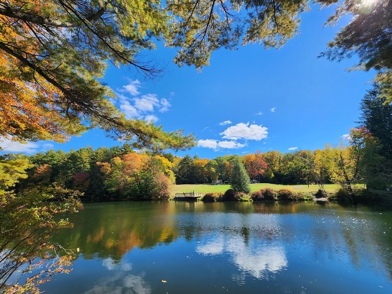 Hike the Boulder Field at Hickory Run State Park