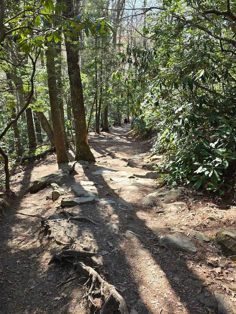 Erwin View Trail