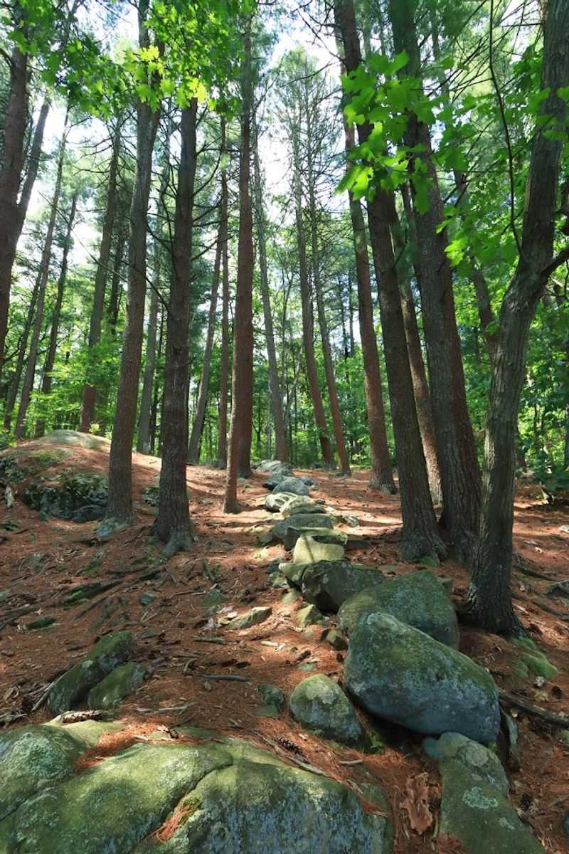 Middlesex Fells Reservation (Medford & Stoneham)