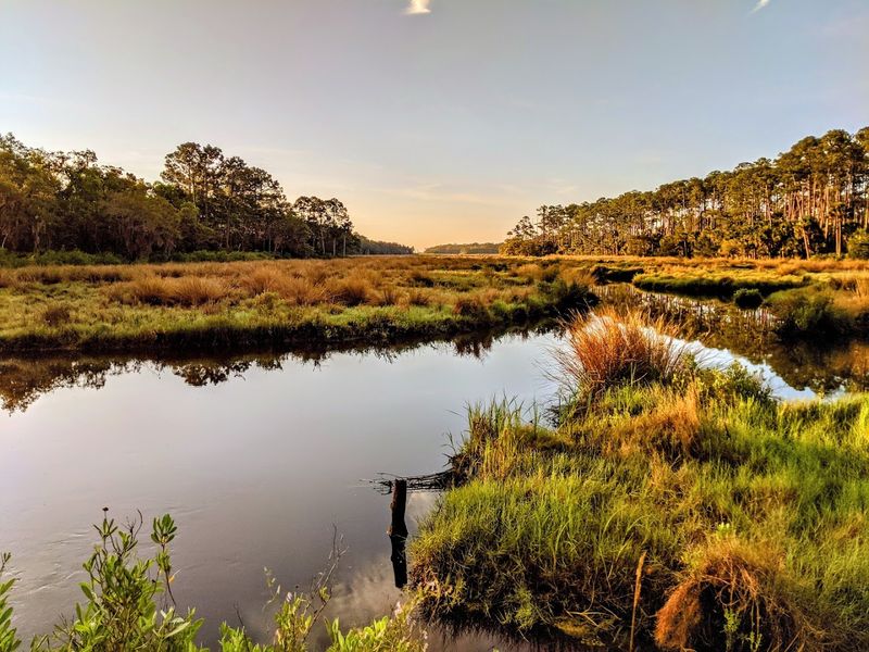 Creekside Ecosystems Along Bulow Creek