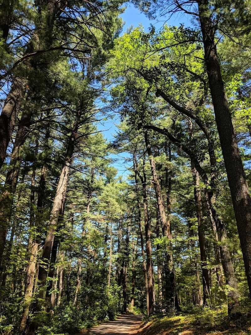 Breakheart Reservation (Saugus & Wakefield)