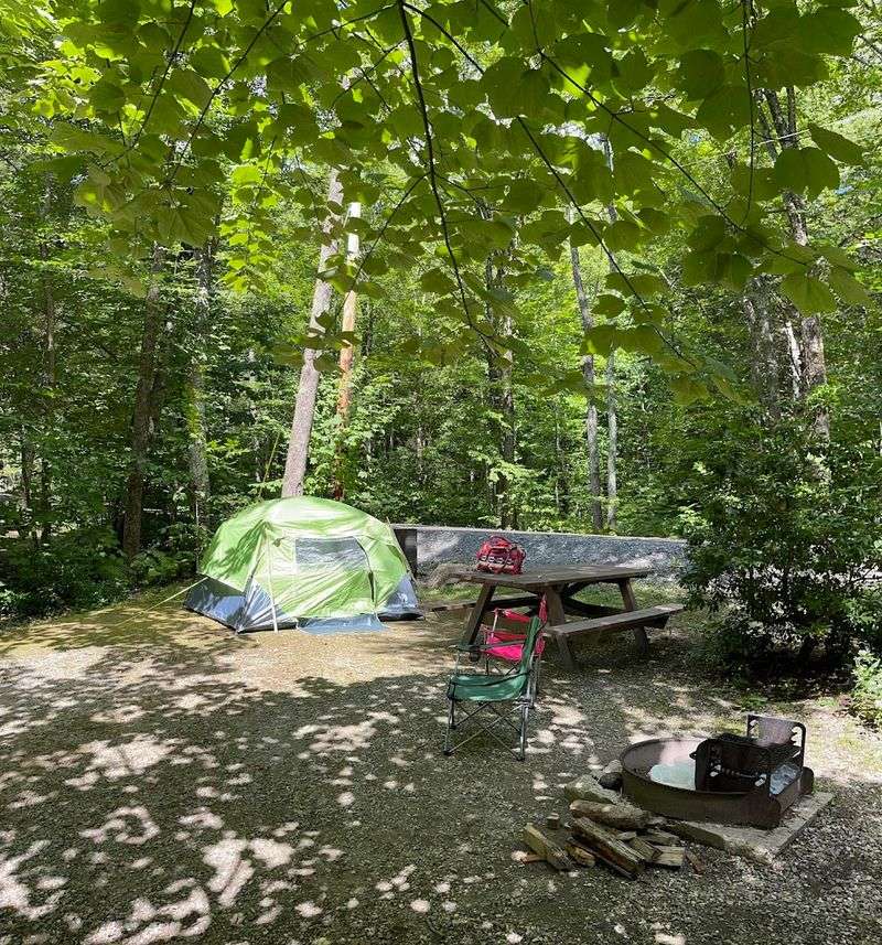 Mohawk Trail State Forest