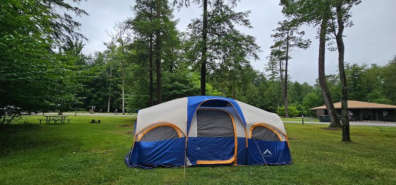 Camp Under the Stars at Cook Forest State Park