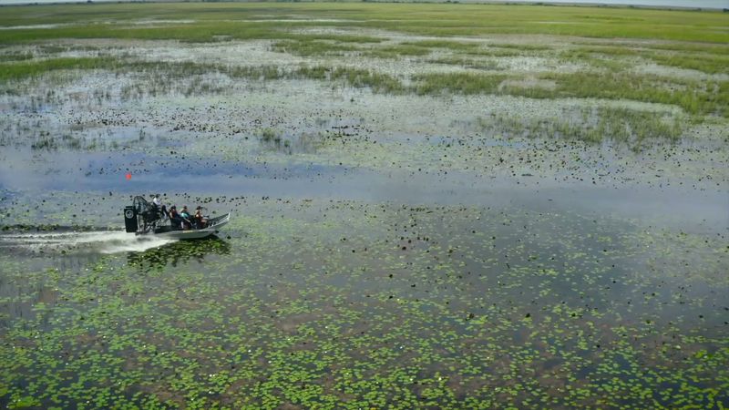 Airboat Riding Through the Everglades National Park