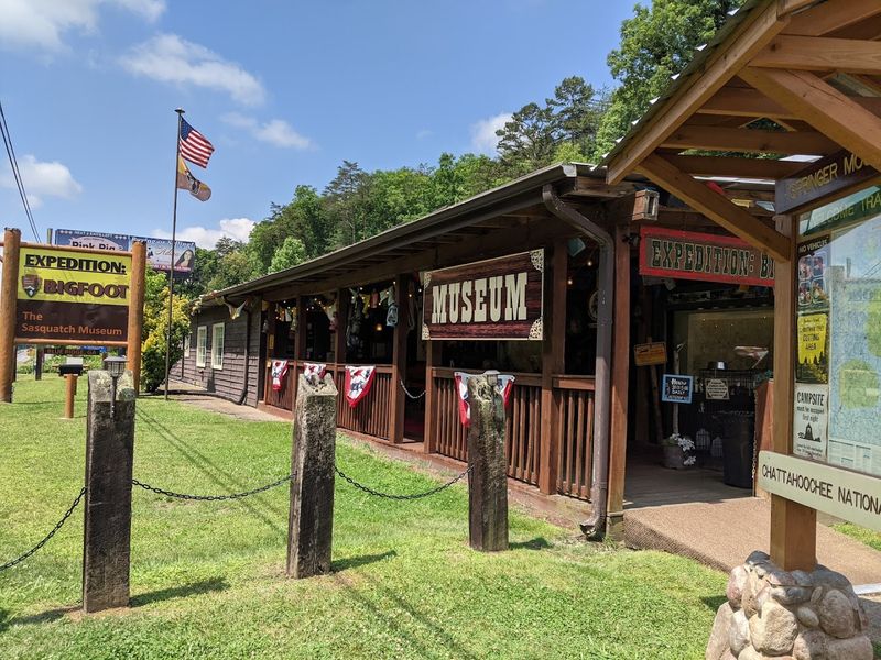 Explore EXPEDITION:BIGFOOT! The Sasquatch Museum