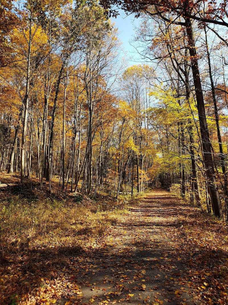 Stony Valley Rail-Trail &mdash; Appalachian Ridge Region