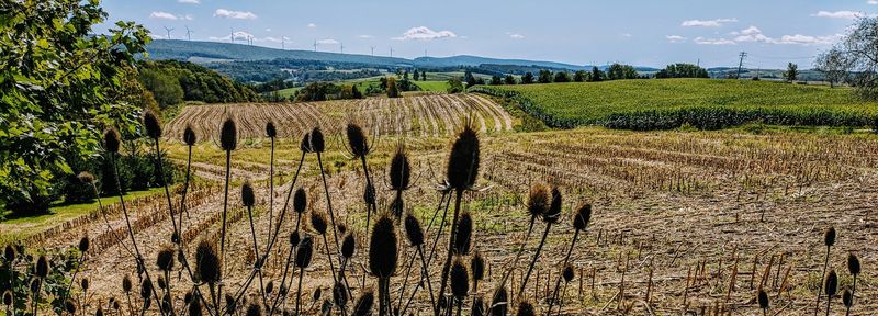Berlin, Somerset County