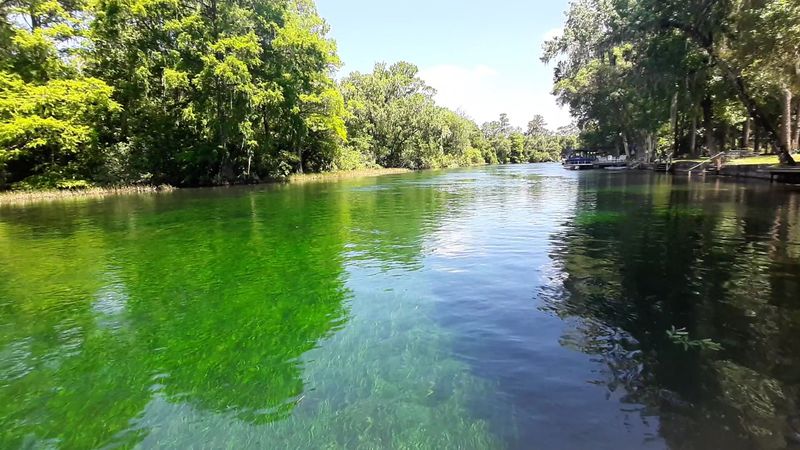 Rainbow River (Dunnellon)