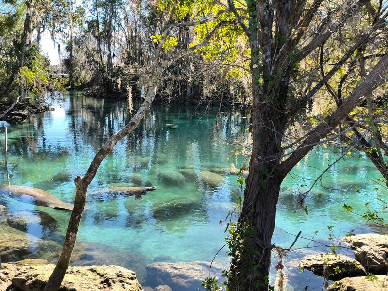 Three Sisters Springs, Citrus County