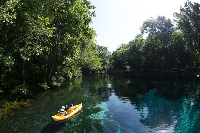 Santa Fe River, Alachua and Gilchrist counties