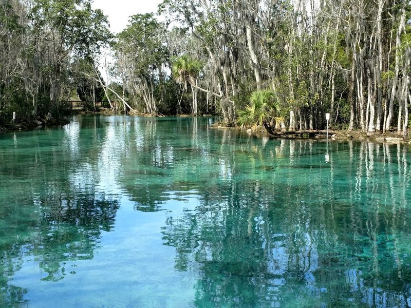 Crystal River National Wildlife Refuge (Crystal River)