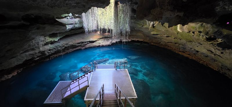 Devil's Den Prehistoric Spring, Williston, Levy County
