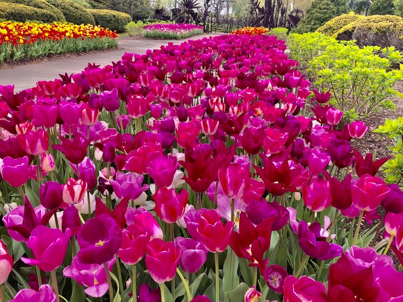 Cleveland Botanical Garden