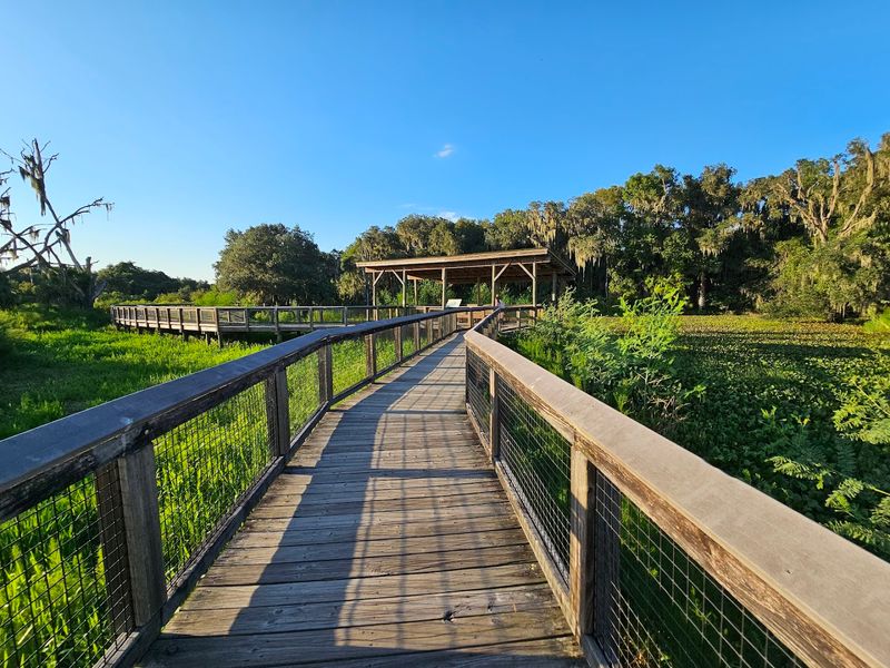 La Chua Trail at Paynes Prairie Preserve State Park