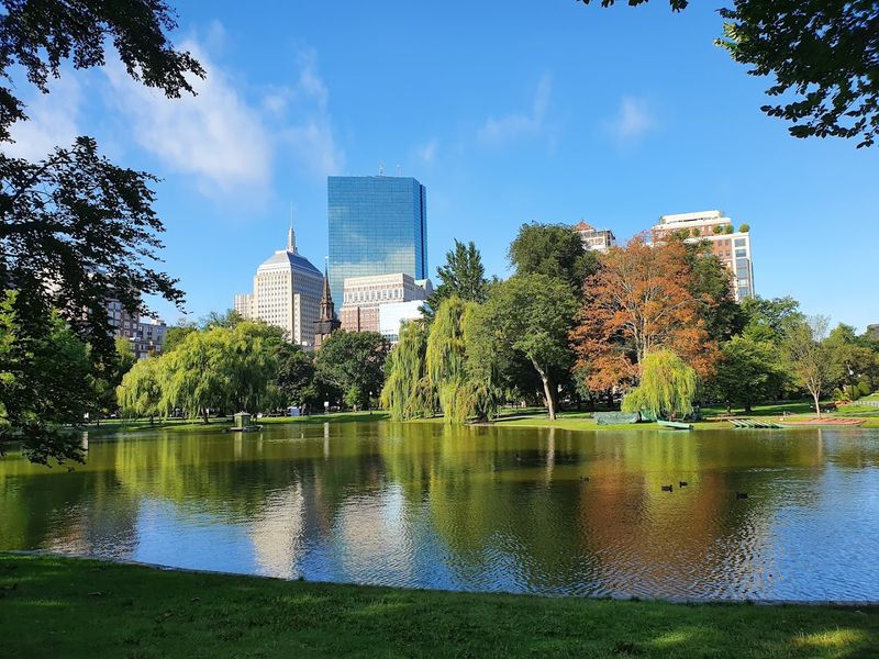 Boston Public Garden - Boston