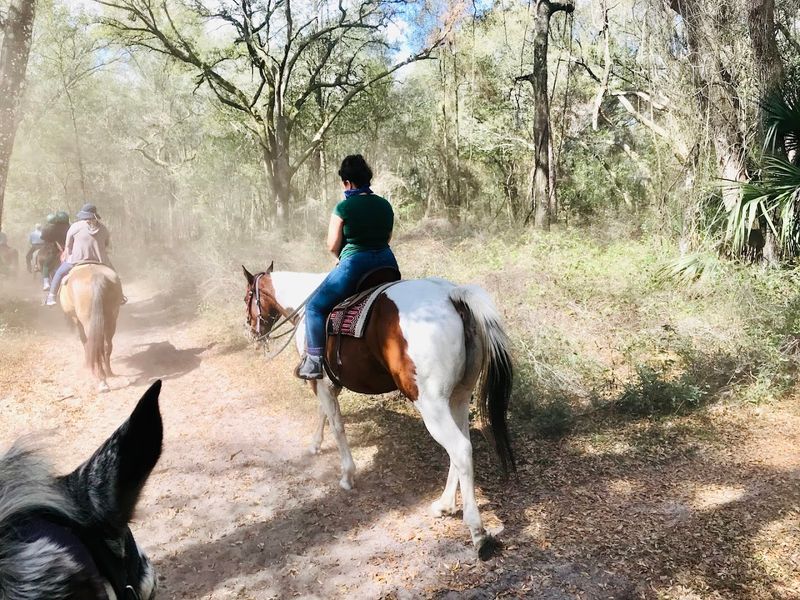 Cactus Jack's Trail Rides (Ocala)