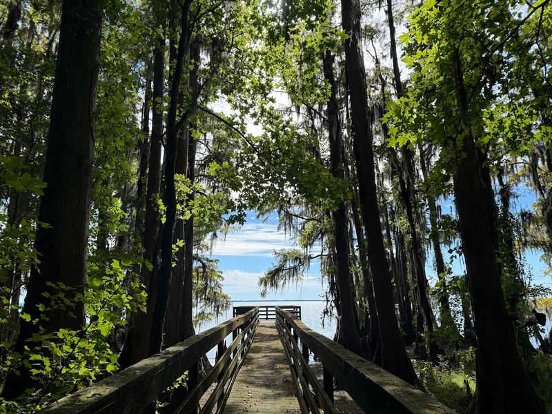 Pettigrew State Park