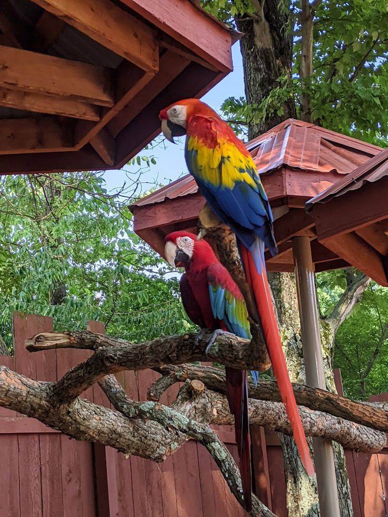 Why It Feels Different From a Traditional Zoo