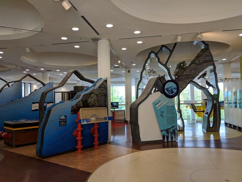 Interactive Science Exhibits That Keep Kids Engaged