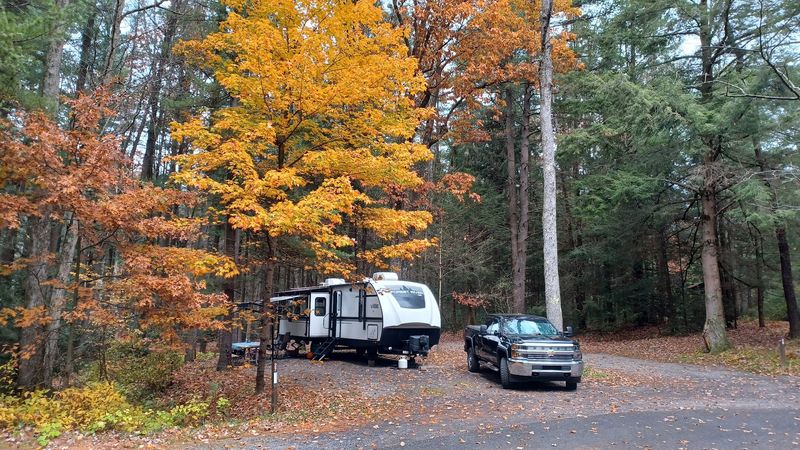 Camping And Overnight Stays In The Forest