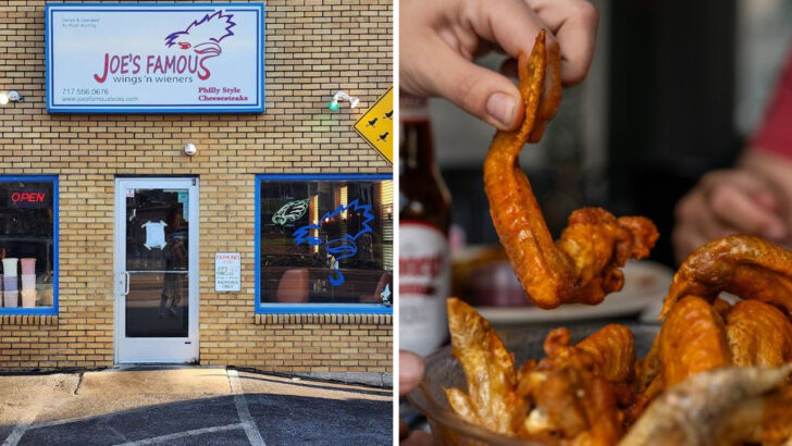Why Pennsylvania Wing Fans Keep Talking About These 14 Flavor-Packed Restaurants