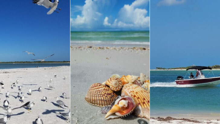 Why Travelers Keep Falling In Love With This Peaceful Florida Island Getaway