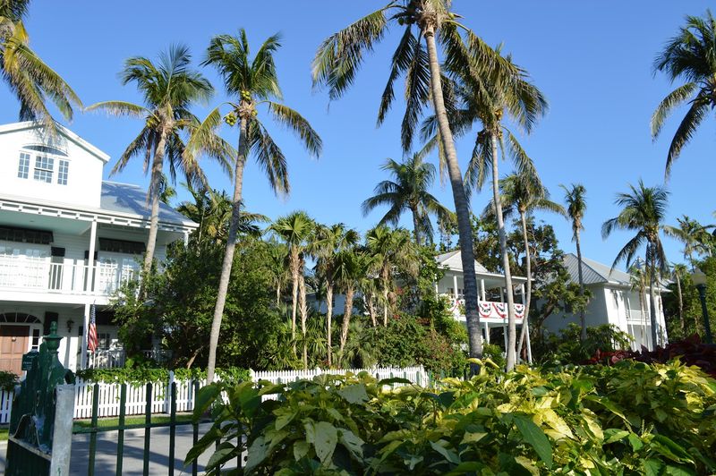A Working White House in the Tropics
