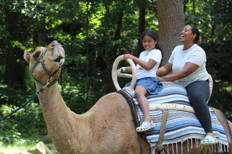 Southwick's Zoo (Mendon)